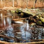 Mills and Mill Ponds of Westport - logo